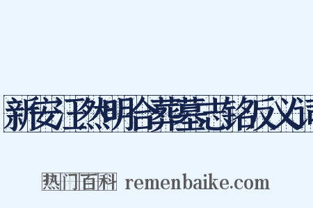 新安汪然明合葬墓志铭反义词是什么意思的图片